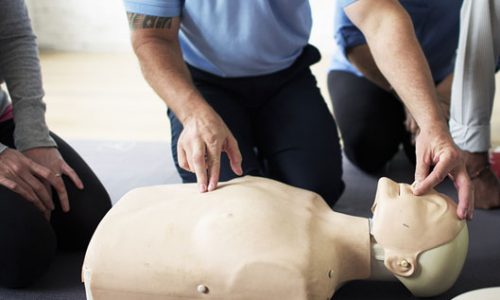 provide-cpr1 provide-cpr1